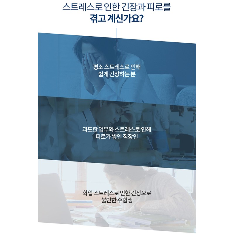Theanine efficacy L-theanine nutritional supplement 1 month / 테아닌 효능