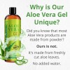 Seven Minerals Organic Aloe Vera Gel from freshly cut 100%