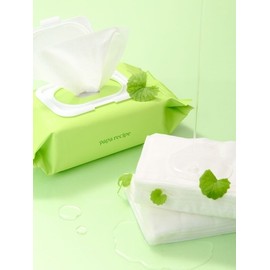 Real Centella Cica Watery Cleansing Tissue (100 sheets) / 리얼 센텔라 시카 워터리 클렌징 티슈 (100매)