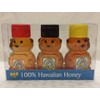 HAWAIIAN HONEY MACADAMIA NUT CHRISTMAS BERRY RAINBOW BLOSSOM 3 x 2 OZ BEAR SET