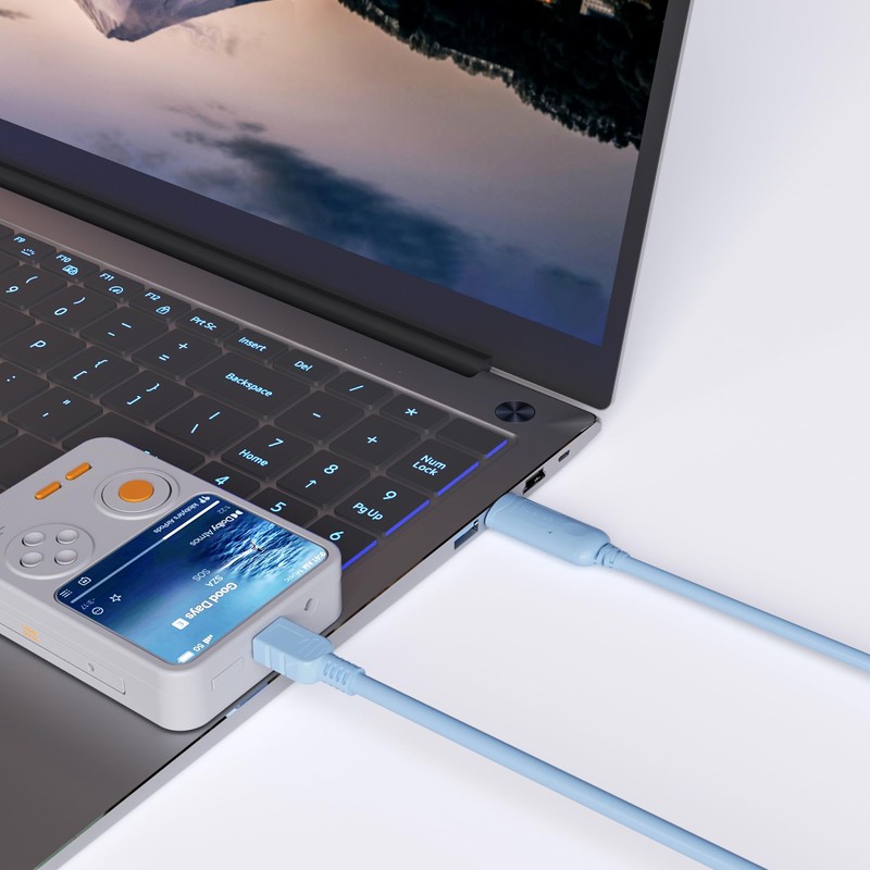 IQlionco USB Type A to USB Type Mini B, Console