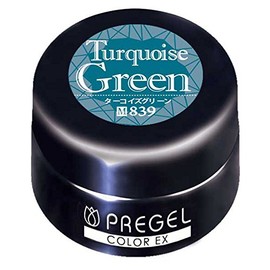 Prigel Gel Nail Color EX Turquoise Green 839