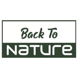 Back To Nature Seed Company Scarlet Nantes Carrots - Seeds - Organic - Non Gmo - Heirloom Seeds – Vegetable  - 10 Seeds