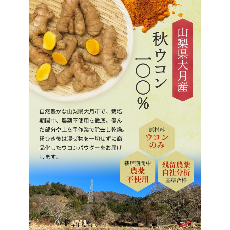 SPANION 大月ウコン パウダー 100g 栽培期間中 農薬不使用 自社農薬検査合格 ターメリックパウダー 国産 ウコン