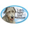 Prismatix Irish Wolfhound Oval Dog Magnet for Cars