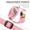 PUPTECK Soft Mesh Dog Harness and Leash Set Pet Puppy