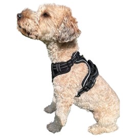 ROOSK Dog Harness | No-Pull, Reflective, 4-Way Adjustable w/ Poop Bag Holder | Ultimate Comfort, Soft, Padded Waterproof Oxford w/ Airmesh | 2 Leash Clips (Black, Extra Small)