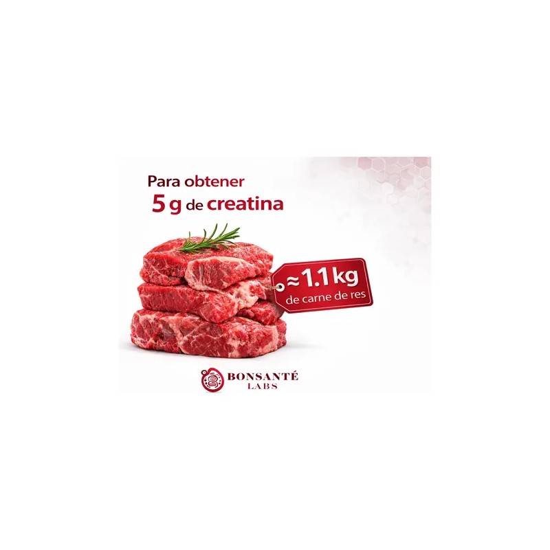 Creatina Monohidratada Pura 400 G | Bonsanté Labs | Pack