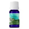 B Nature Aceite Esencial Árbol De Té Tea Tree Bnature