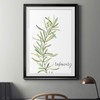 Renditions Gallery Fresh Sprig Rosemary Premium Black Framed Print, Ready