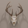 Allen Company EZ Mount Skull Hanger, Fixed, Brown