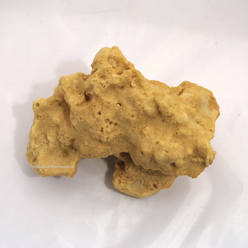 Rock/Stone, 16 x 9 x 9 cm, Sea Water Reef