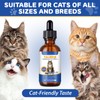 Taurine Drops for Cats – Liquid Taurine Supplement for Eyesight,