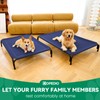 Elevated Dog Bed Raised Outdoor Dog Cot for Medium Dogs,