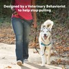 PetSafe Deluxe Easy Walk Dog Harness, Dog Harness for Medium-Size