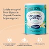 Four Sigmatic Four Sigmatic Organic Vegan Protein Powder | 18g