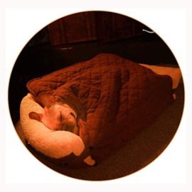Abrigo Hooks Dog Bed Dog Bed Unique Design Quilt Pillow Dog Bed Enclosed Dog House Winter Available Warm Dog Sofa (Large)                             