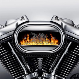 Kustom Cycle Parts Flames Grey Don't Tread on Me Air Cleaner Insert. Replaces Stock Harley Insert