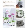 5 inch Orchid Pots with Holes for Repotting with Excellent
