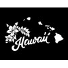 ND305W State Of Hawaii Decal Sticker | 8-Inches By 4.6-Inches