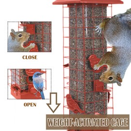 Bird Feeder for Outside, Metal Squirrel Proof Bird Feeders for Outdoors Hanging, 4 Ports Perches, Large Capacity (Tangerine)