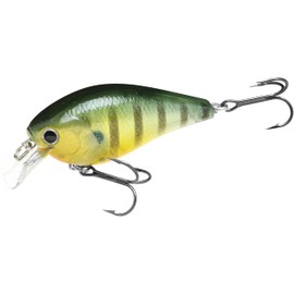 LUCKY CRAFT LC 1.5 Silent Crankbait Fishing Lures, 2-3/8” Squarebill Crankbait, Bass Lures, Floating 4ft Depth Hard Bait, Fishing Gear, 180 Flake Flake Golden Sun Fish