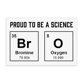 "Proud to Be a Science Bro" Premium Vinyl Sticker - Rectangular, 3" x 2" - Great for Indoor & Outdoor - Tumblers, Notebooks, Phone Cases, & More - Durable & Weather Resistant - Empirically Made