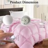 LISSION Duvet Clips, Non-Slip Duvet Cover Clips Pins 32 PCS,