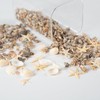 Baiinjiene 1300 PCS Small Seashells for Crafts, Tiny Mixed Sea