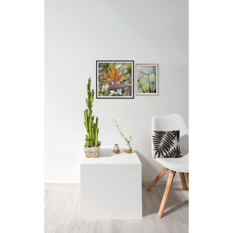 accent by nielsen Accent Aluminium Picture Frame 20 x 30