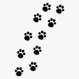 Cat Paw Track Sticker Outdoor Rated Vinyl Sticker Decal for Windows, Bumpers, Laptops or Crafts 5"