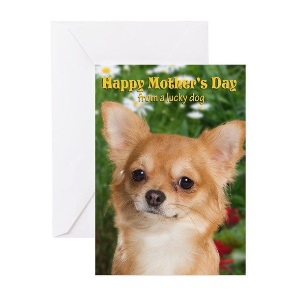 CafePress Chihuahua Mother's Day Card Matte Folded Greeting Card Glossy