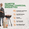Organic Charcoal Briquettes by Olivette, Reusable Charcoal for Grilling, USDA