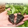 Soil Vigor Water Storing Crystal Soil Additive Commercial Grade (1)