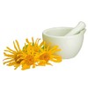 Arnica Flower - Heterotheca inuloides Dried Loose Flower from 100%