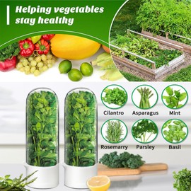 Minkeytal Herb Saver for Refrigerator - Herb Keeper & Cilantro Container for Fridge | Vegetable Preservation Storage Container for Cilantro, Basil, Asparagus | Extends Freshness Up to 2-3 Weeks (3PCS)