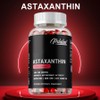 Astaxanthin 12mg - High-Strength Antioxidant Energy Support Gluten-Free & Non-GMO, 1 Count, 120 Tablets / 아스타잔틴 12mg - 고강도 항산화제 에너지 지원 글루텐 프리 & 비GMO, 1개, 120정