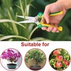 BELIJA Gardening Scissors Hand Pruner Pruning Shear with Straight Stainless