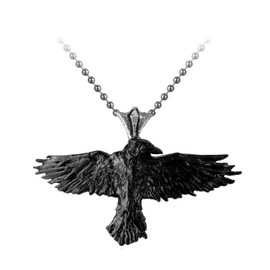 Alchemy Gothic Black Raven Unisex Necklace Black, Pewter,