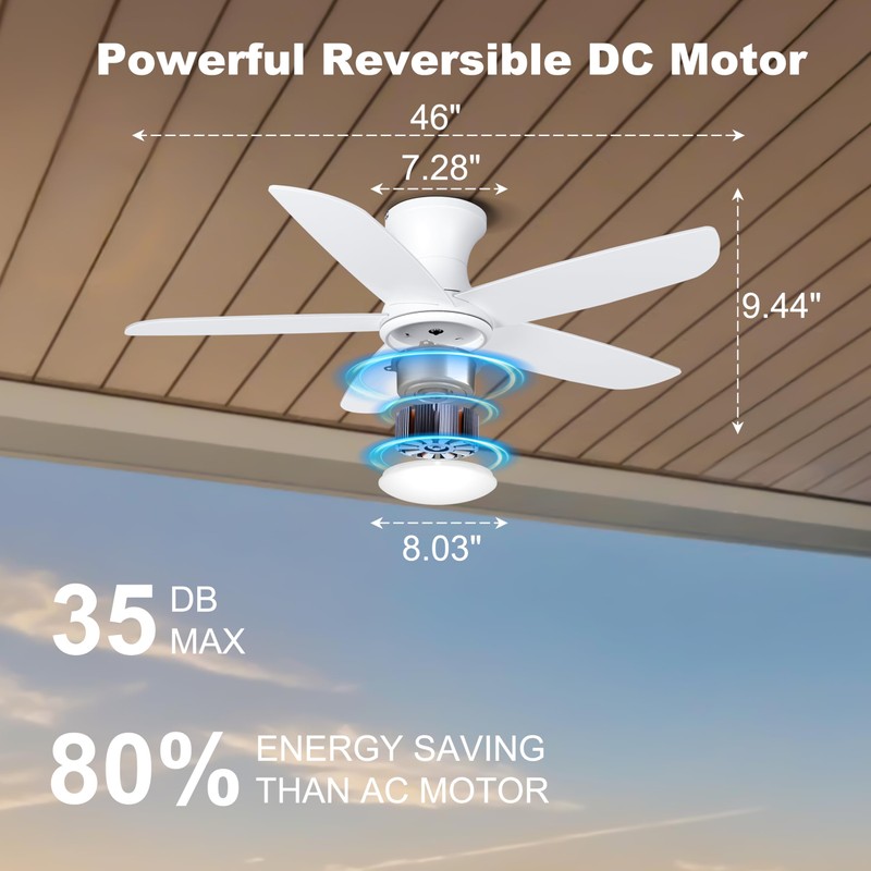 Ohniyou 46'' Ceiling Fan with Lights, Low Profile Ceiling Fans