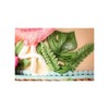 Tropical Leaves Mold by Karen Davies