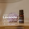 Aceite Esencial de Lavanda 100% Puro 10 ml Aroma Floral