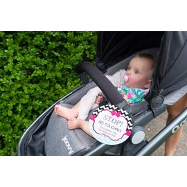 THREE LITTLE TOTS – Pink Zig Zag Stop No Touching Baby Car Seat Sign or Stroller Tag - CPSIA Safety Tested