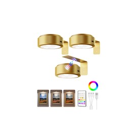 EZVALO Picture Lights for Wall, 2000mAh Rechargeable Battery Magnetic Poster Lights with 3 Color Temps & 12 RGB, Remote Dimmable Timer Painting Light, Wall Decor Light for Art Display, Frame (3 Pack)