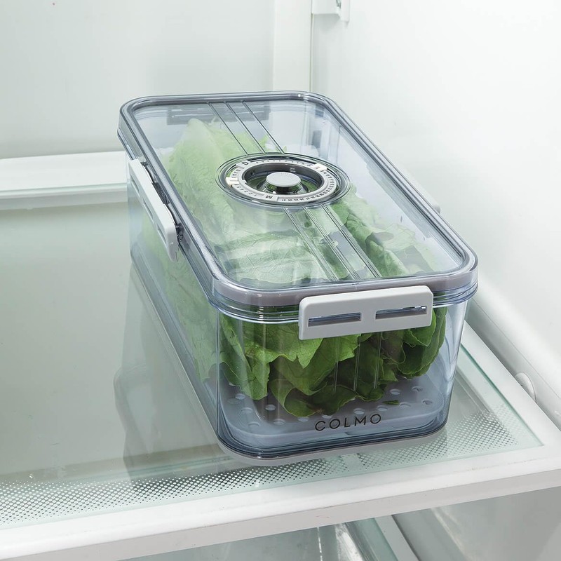 Fox Valley Traders Ever Fresh Container with Date Marker by