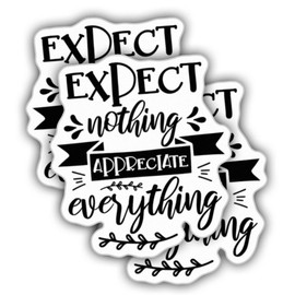 ZANEMIRU (3pcs) Motivational Stickers Inspirational Stickers Expect Nothing Appreciate Everything Weather-Resistance Sticker for Tumbler, Water Bottles, Laptop, Car, Bumper Sticker