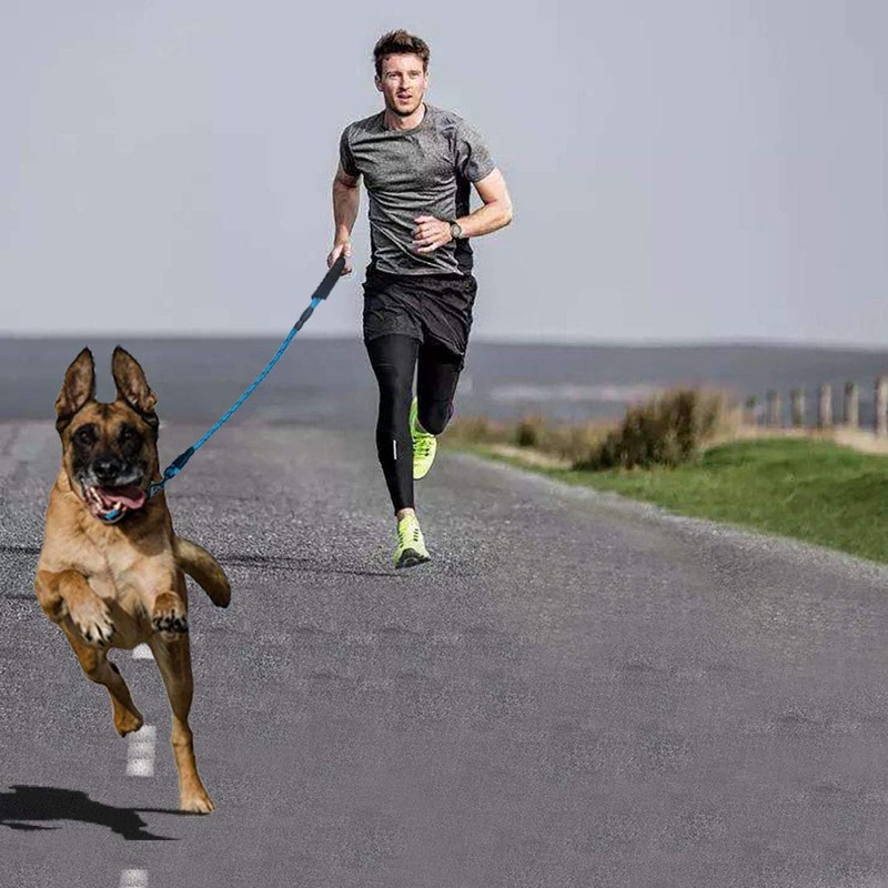 MMSGA Strong Dog Leash for Medium Large Dogs Heavy Duty，5