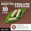 Nutrivein Mushroom Supplement - 2600mg - 90 Capsules - 11