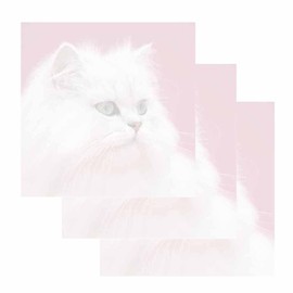 Fluffy Cat Face Sticky Notes - Set of 3 - Animal Theme Design - Stationery Gift - Paper Memo Pad - Office and School Supplies