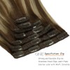 Caliee Real Hair Extensions Clip in Human Hair Double Weft